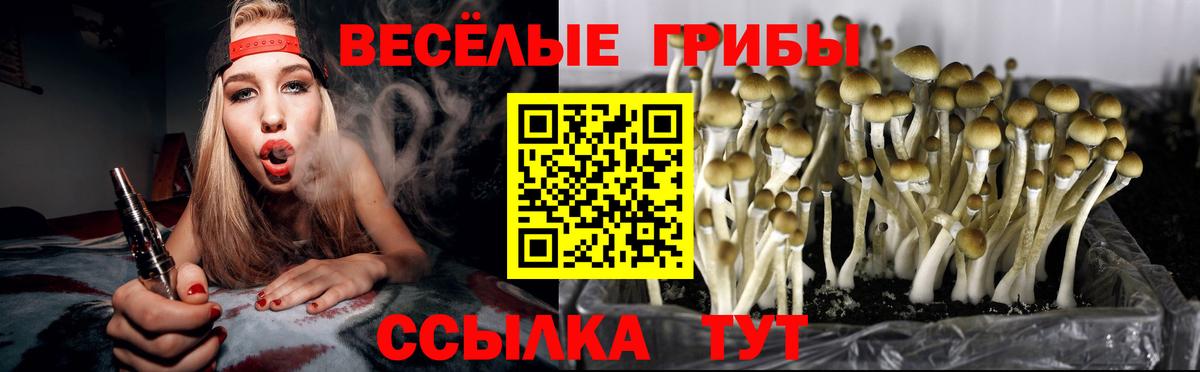 Златоуст  Галлюциногенные грибы Psilocybe  Вход с VPN 